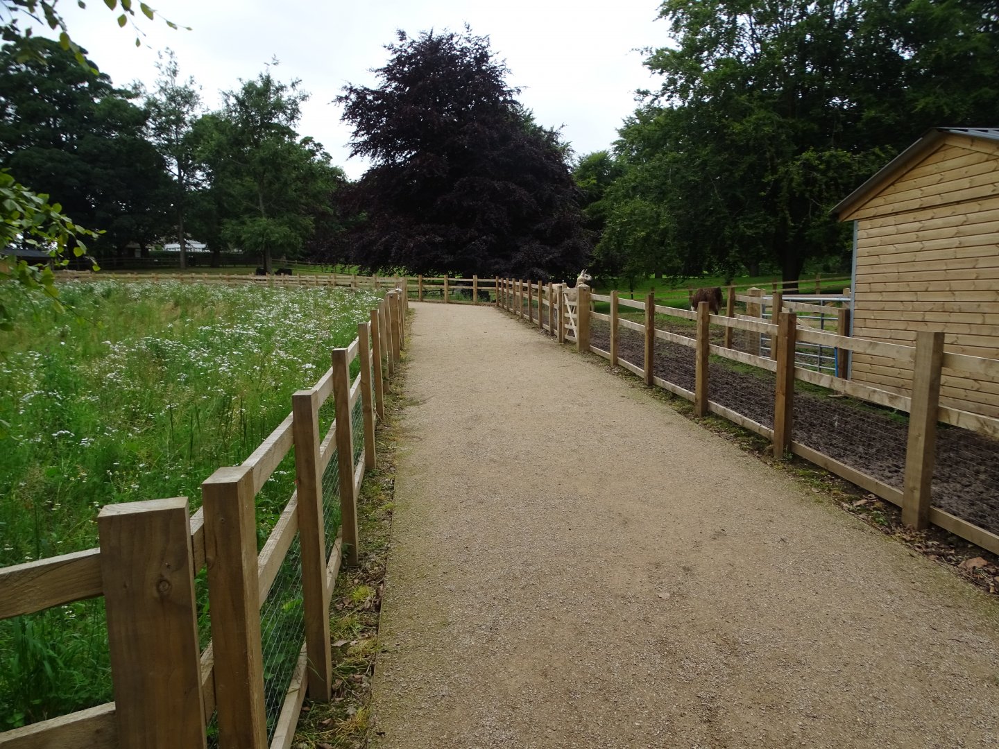 Public path through zoo extension, 16th July 2024