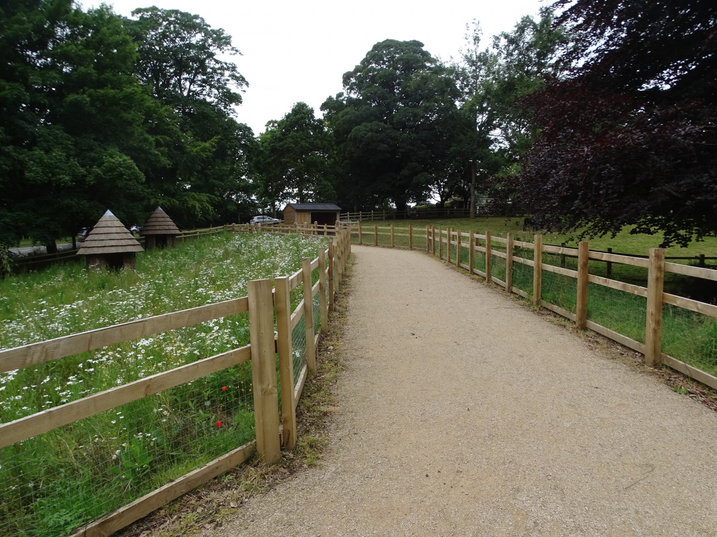 Public path through zoo extension, 16th July 2024