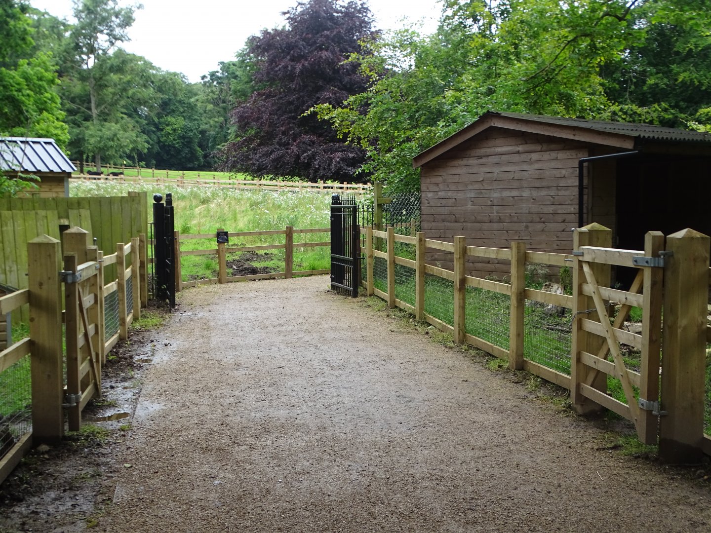 Public path through zoo extension now open, 16th July 2024
