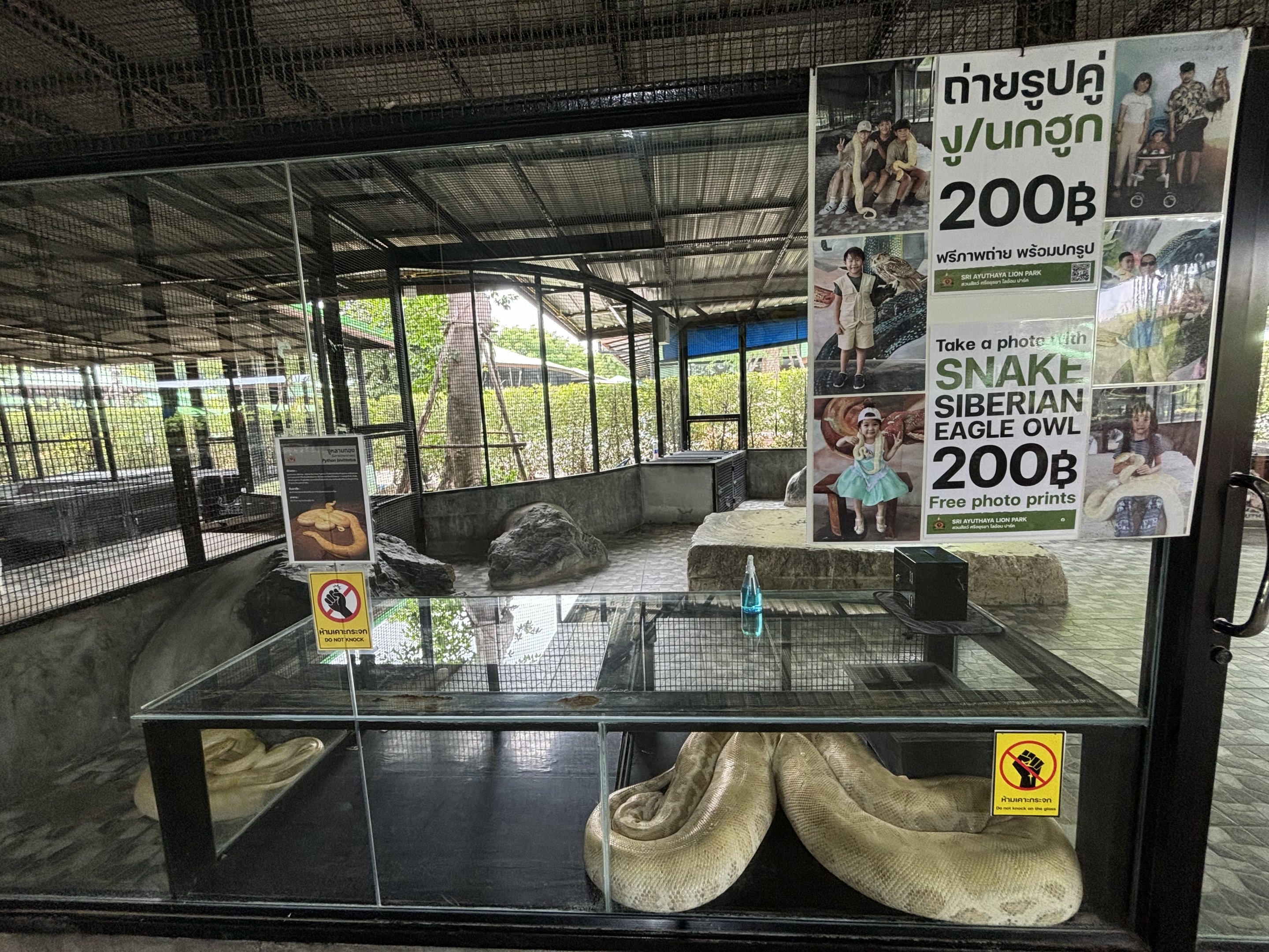 Public Snake Handling Zone - Lion Park