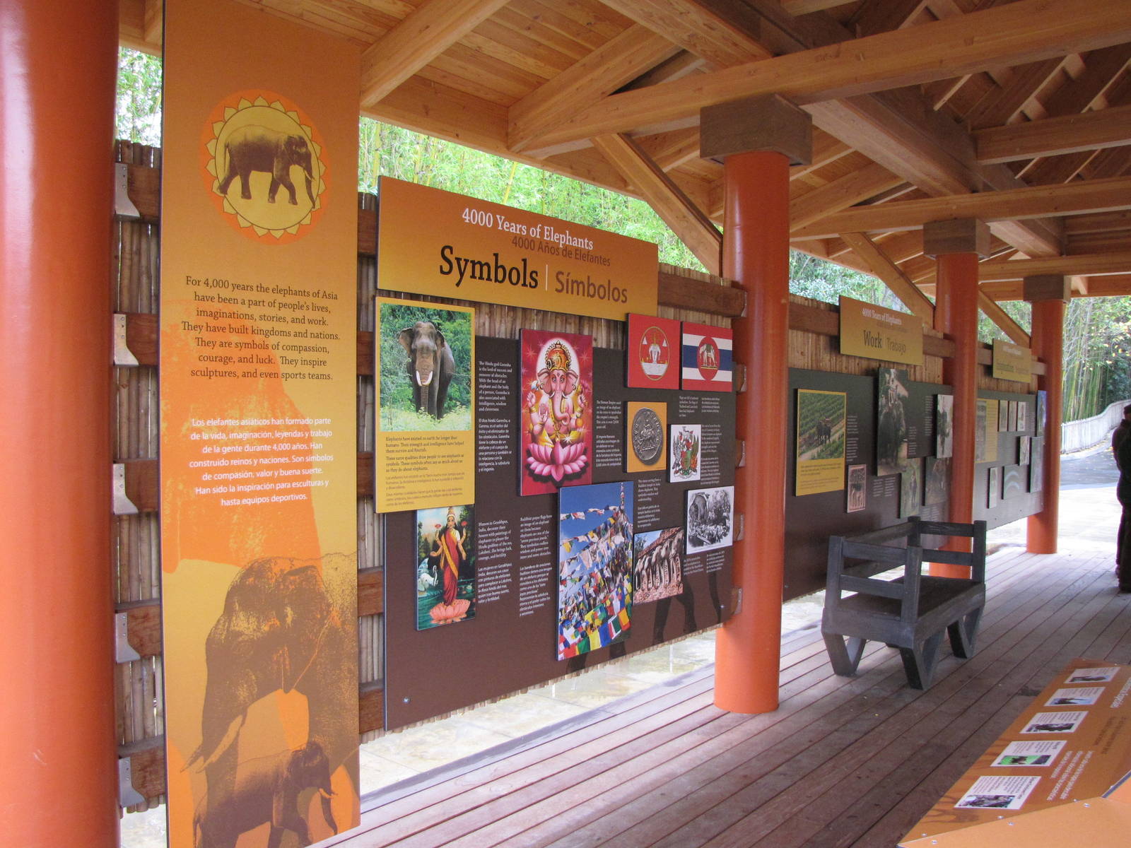 Public Viewing Area - Elephants of Asia