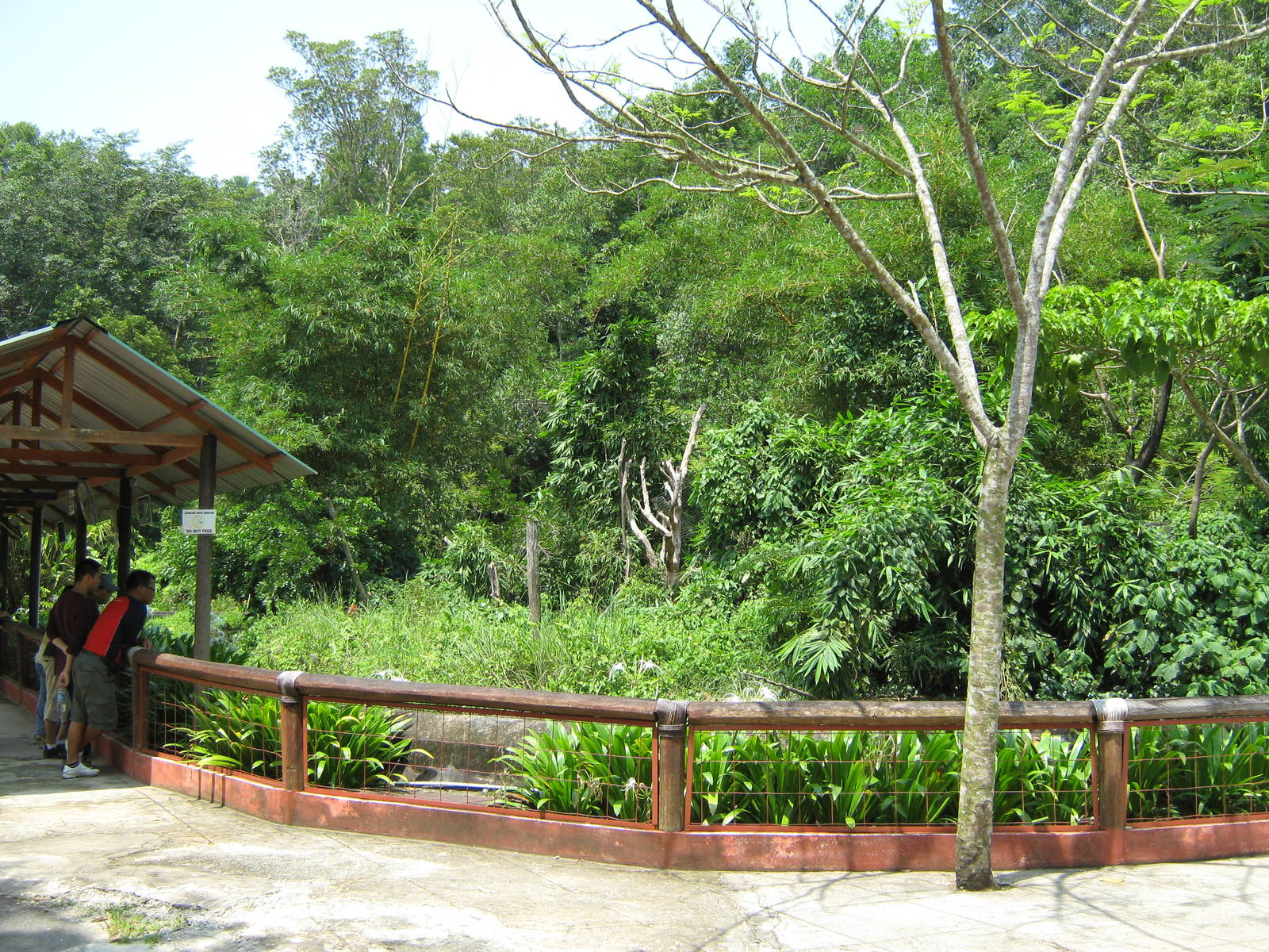 public viewing area in front of the gibbon island