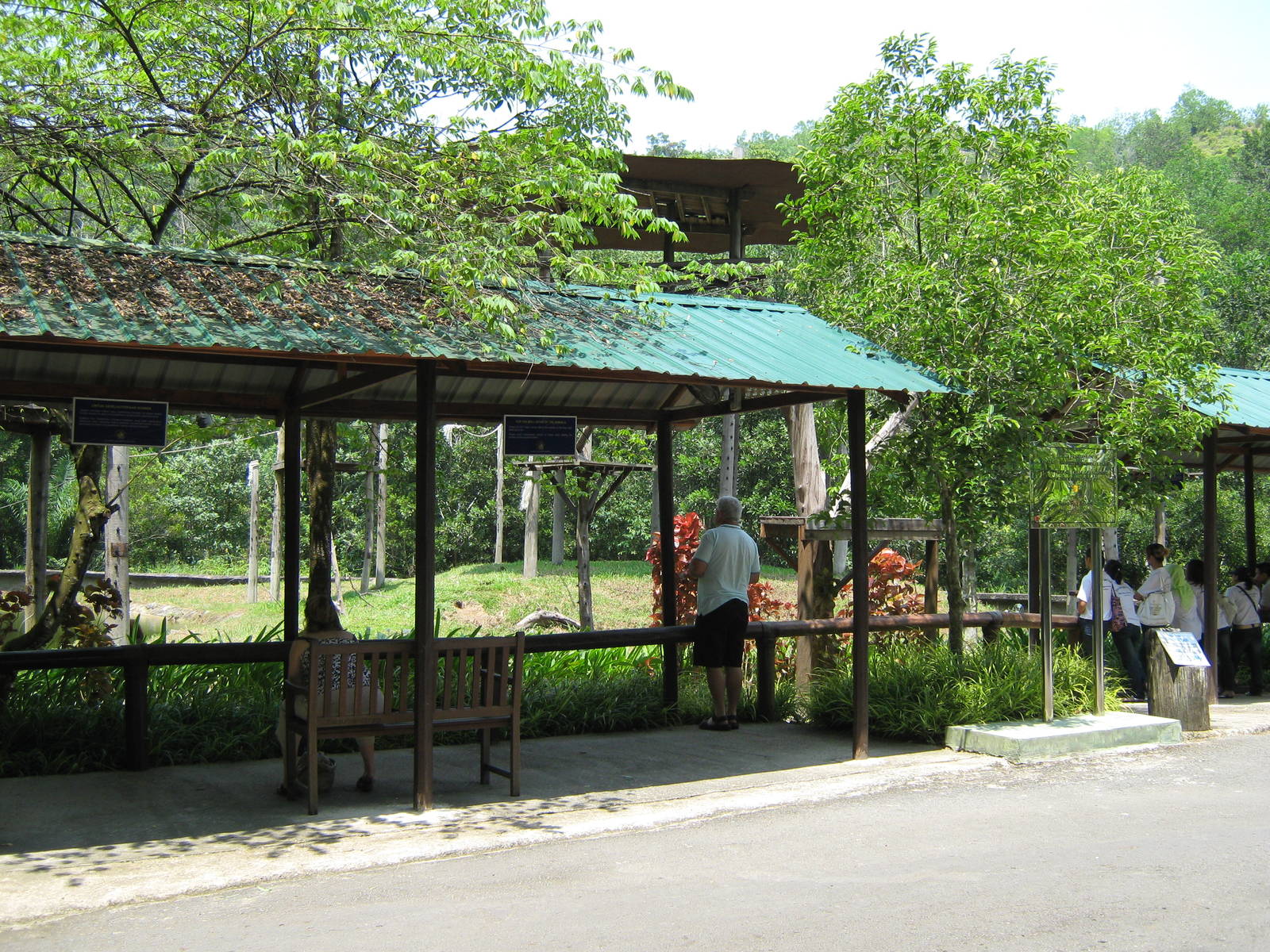 public viewing area in front of the orang-utan island