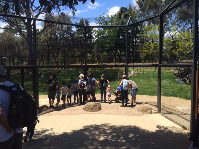 Public viewing Lion Gorge