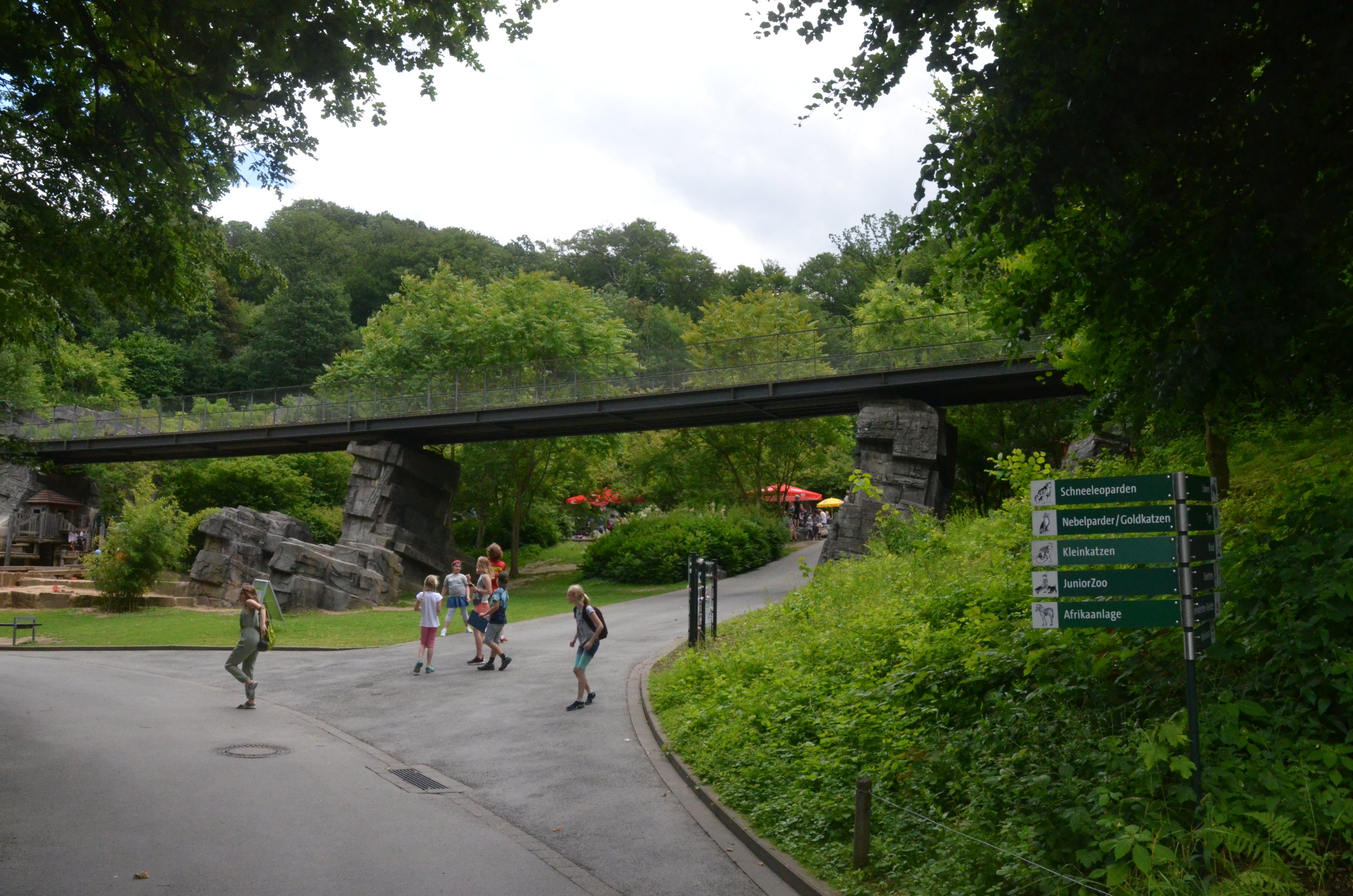 Public Walkway over the Zoo at Wuppertal, 16/06/19