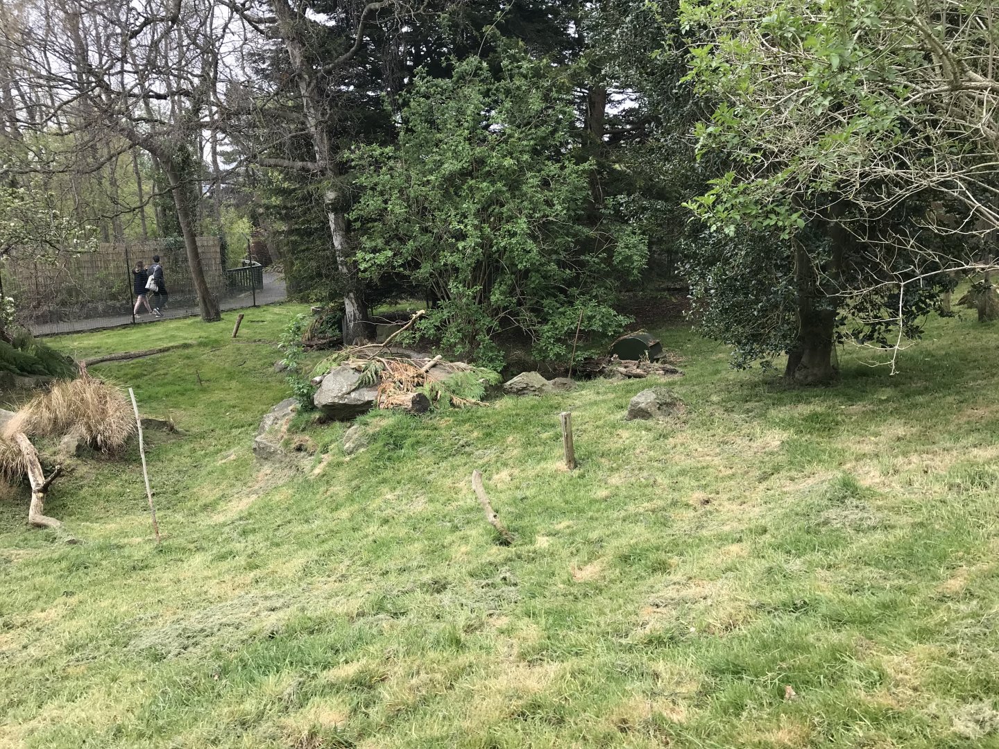 Pudu and agouti enclosure