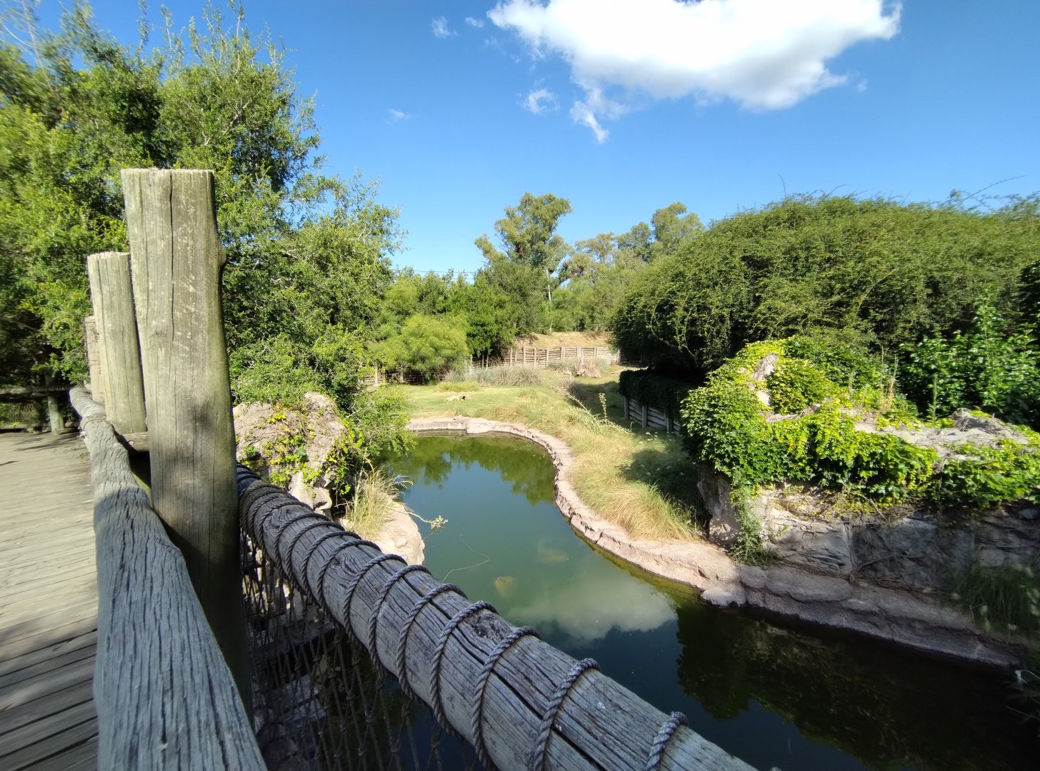 Pudu exhibit, Patagonia - Temaiken