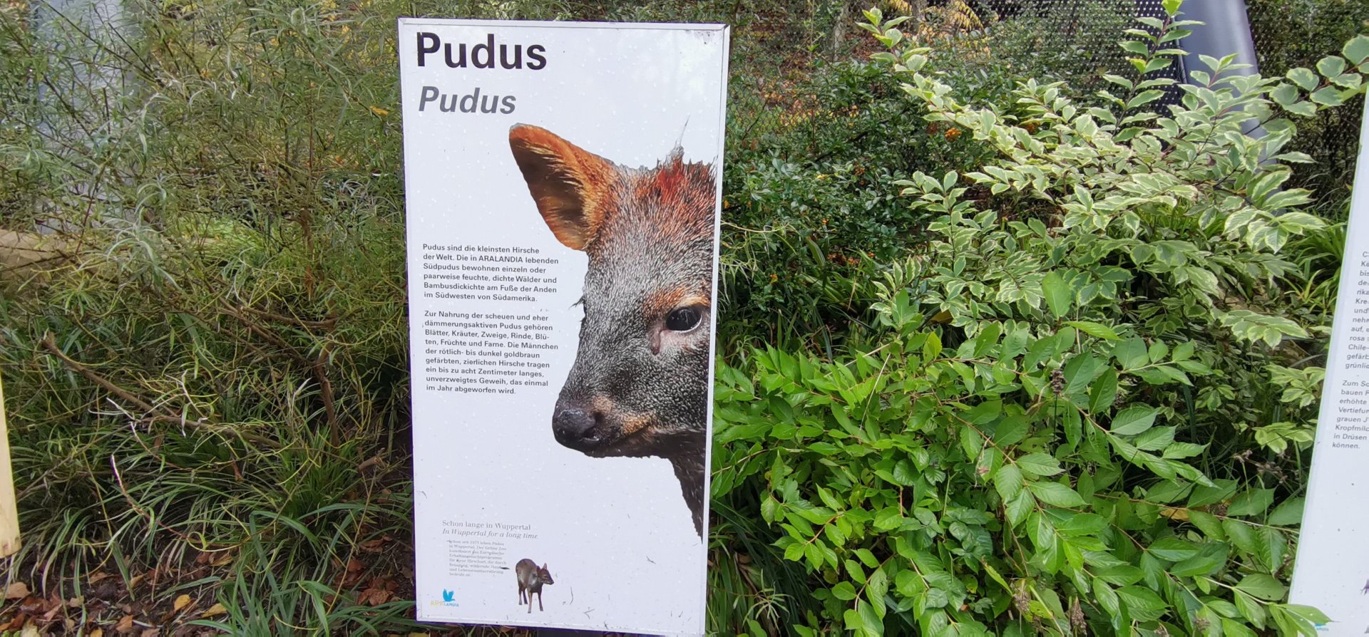 Pudu sign Aralandia