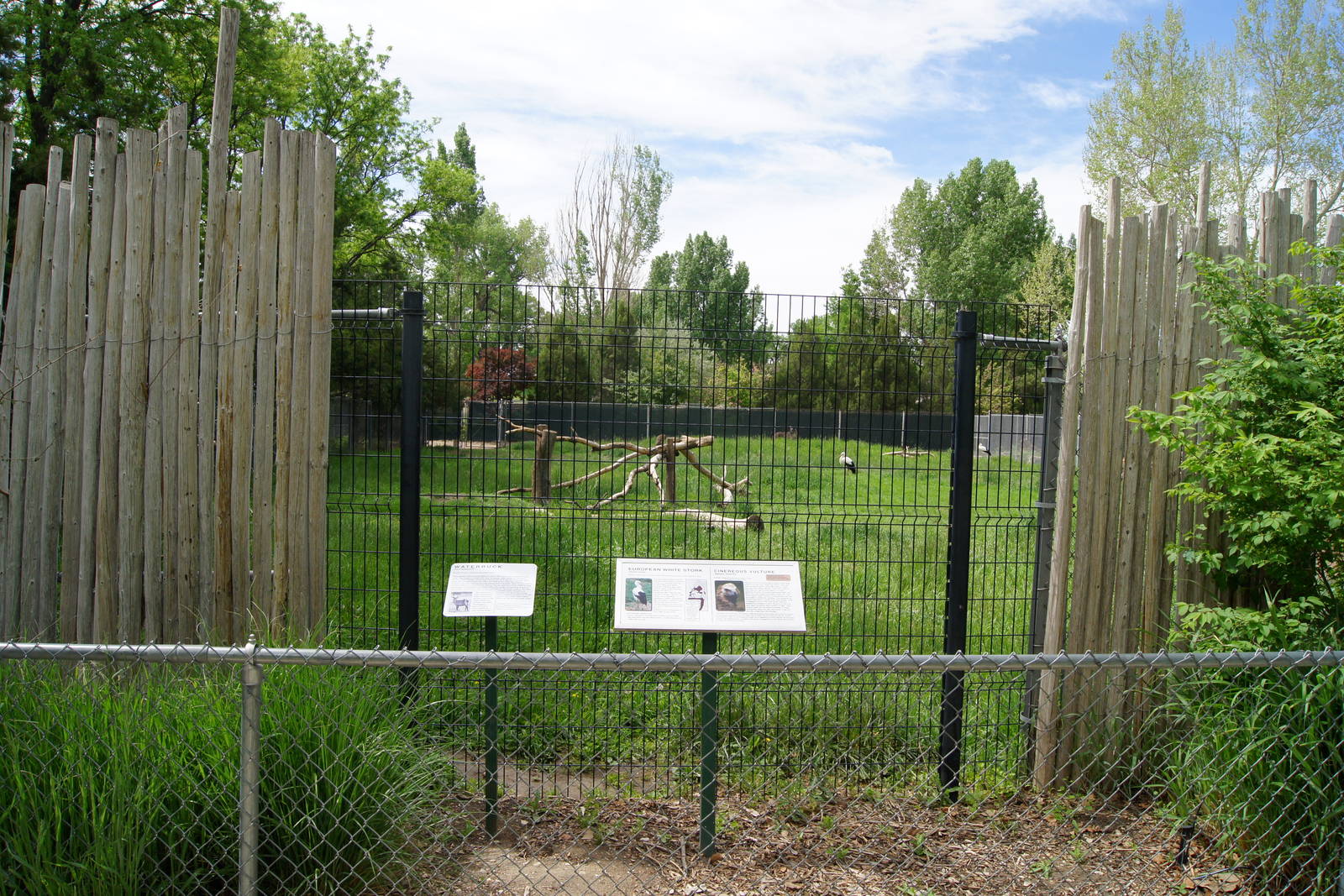 Pueblo Zoo 2013