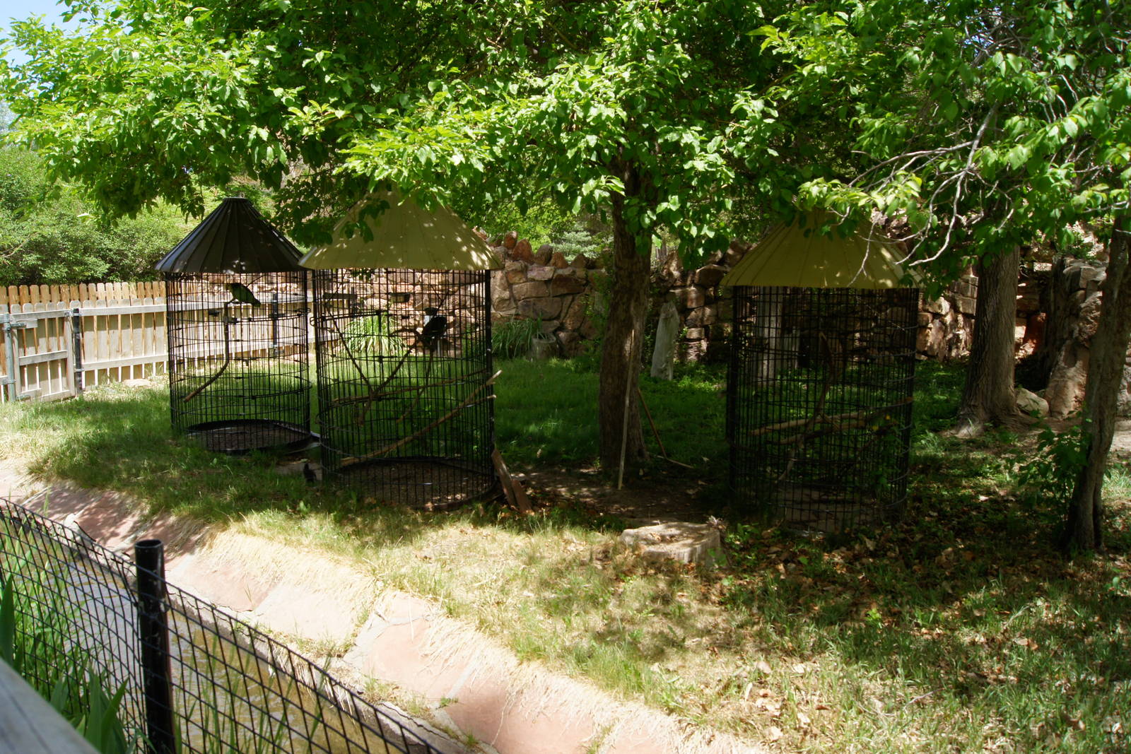 Pueblo Zoo 2013