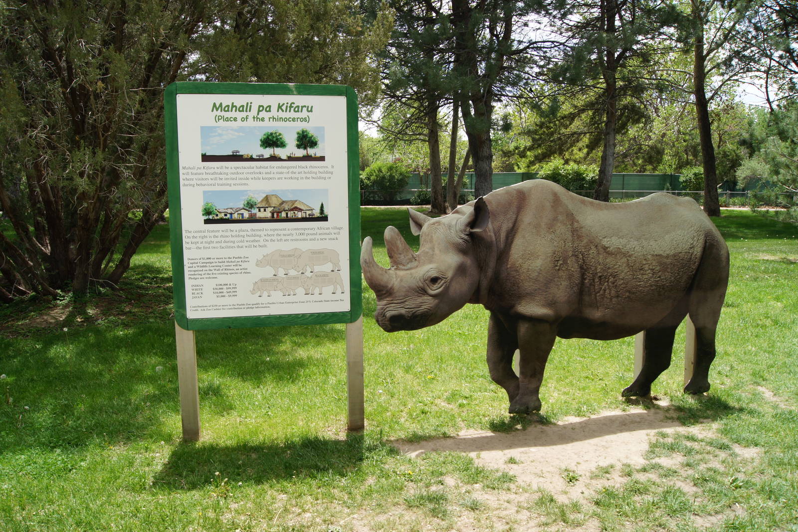 Pueblo Zoo 2013