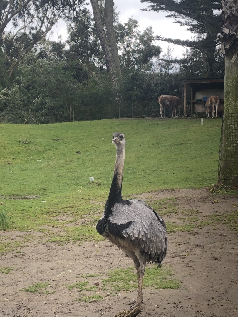 Puente al Sur exhibit