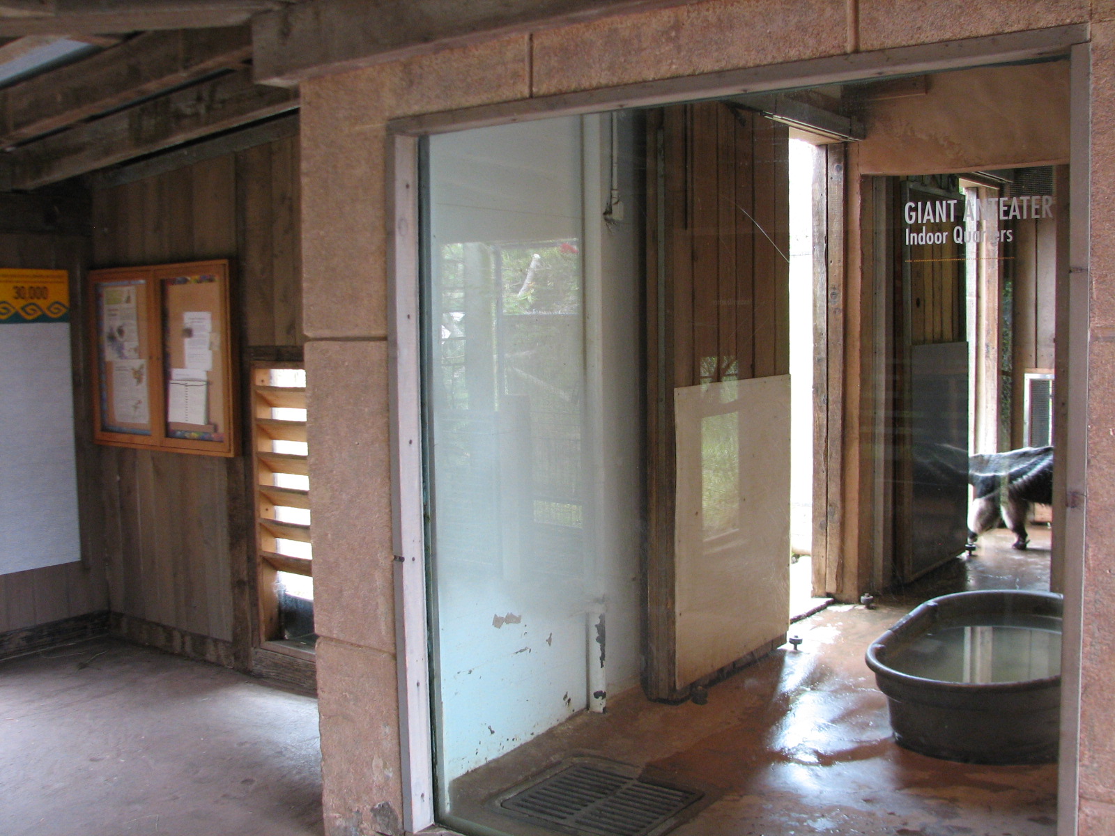 Puente al Sur - Giant Anteater Bedroom