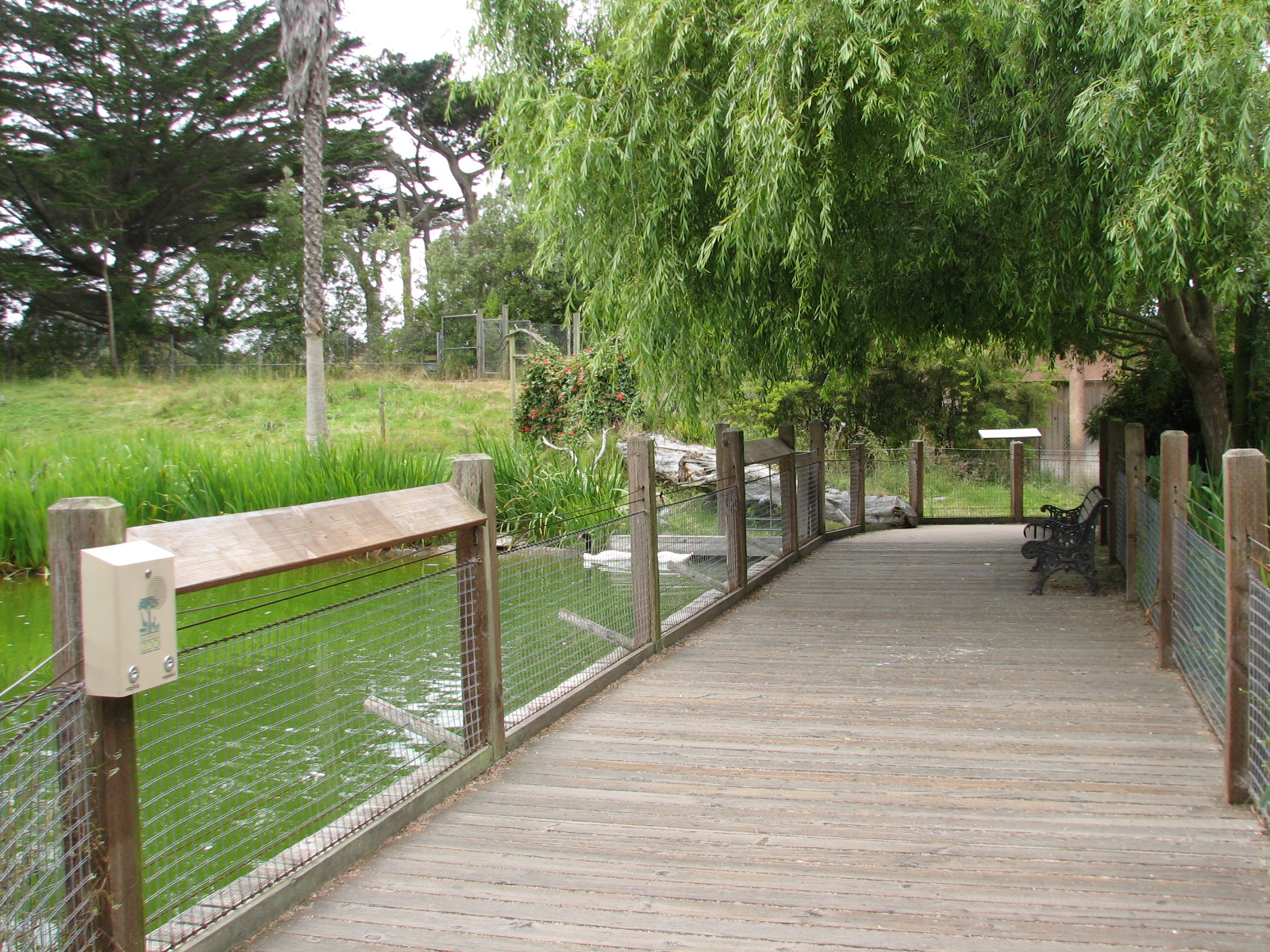 Puente al Sur - Viewing Deck