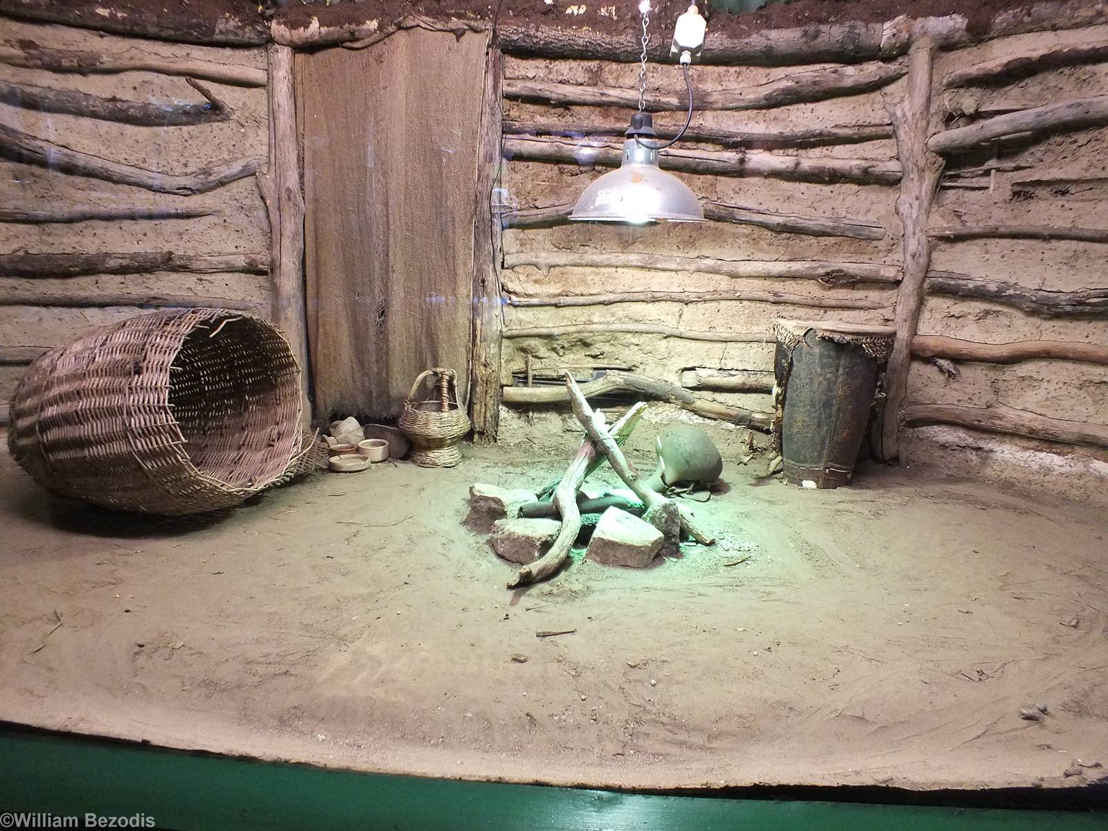 Puff Adder Enclosure