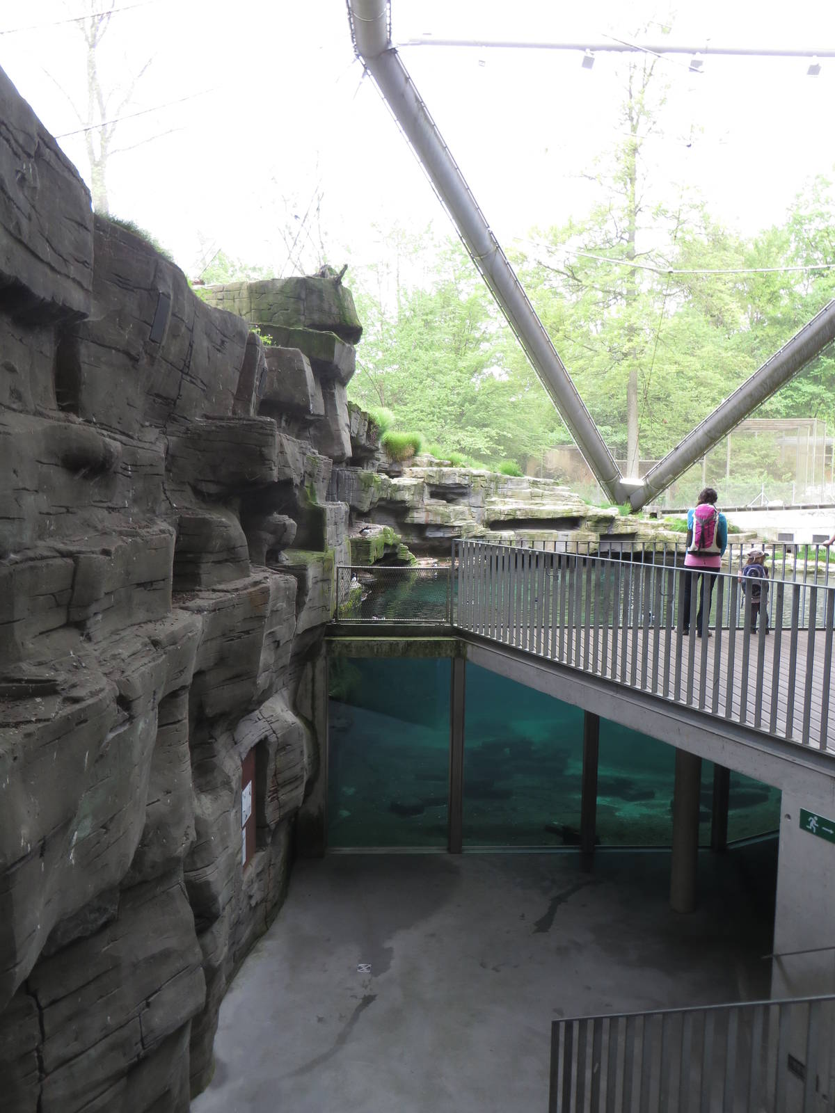 Puffin aviary - underwater view