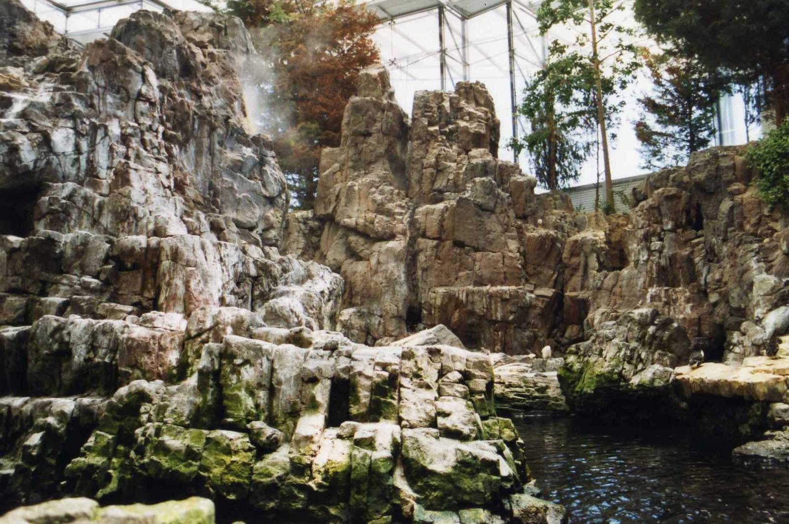 Puffin Exhibit detail