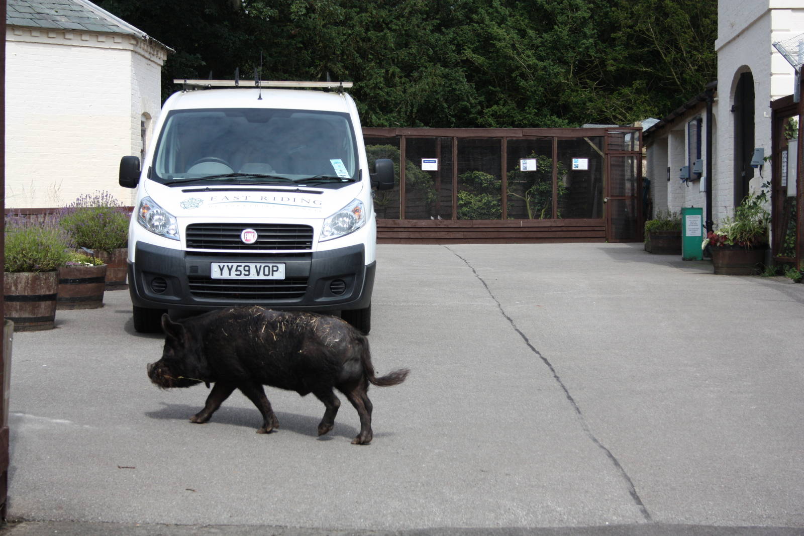 Pugwash makes his way home, 11th July 2014