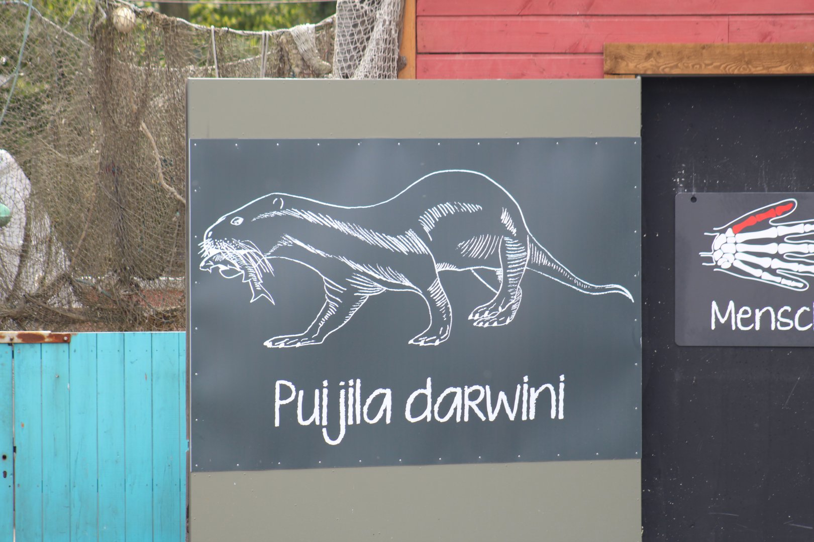Puijila Sign