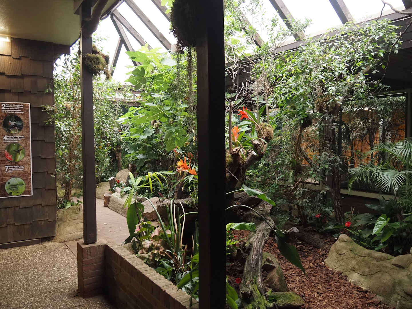 Pukara - Butterfly area, 2024-05-22