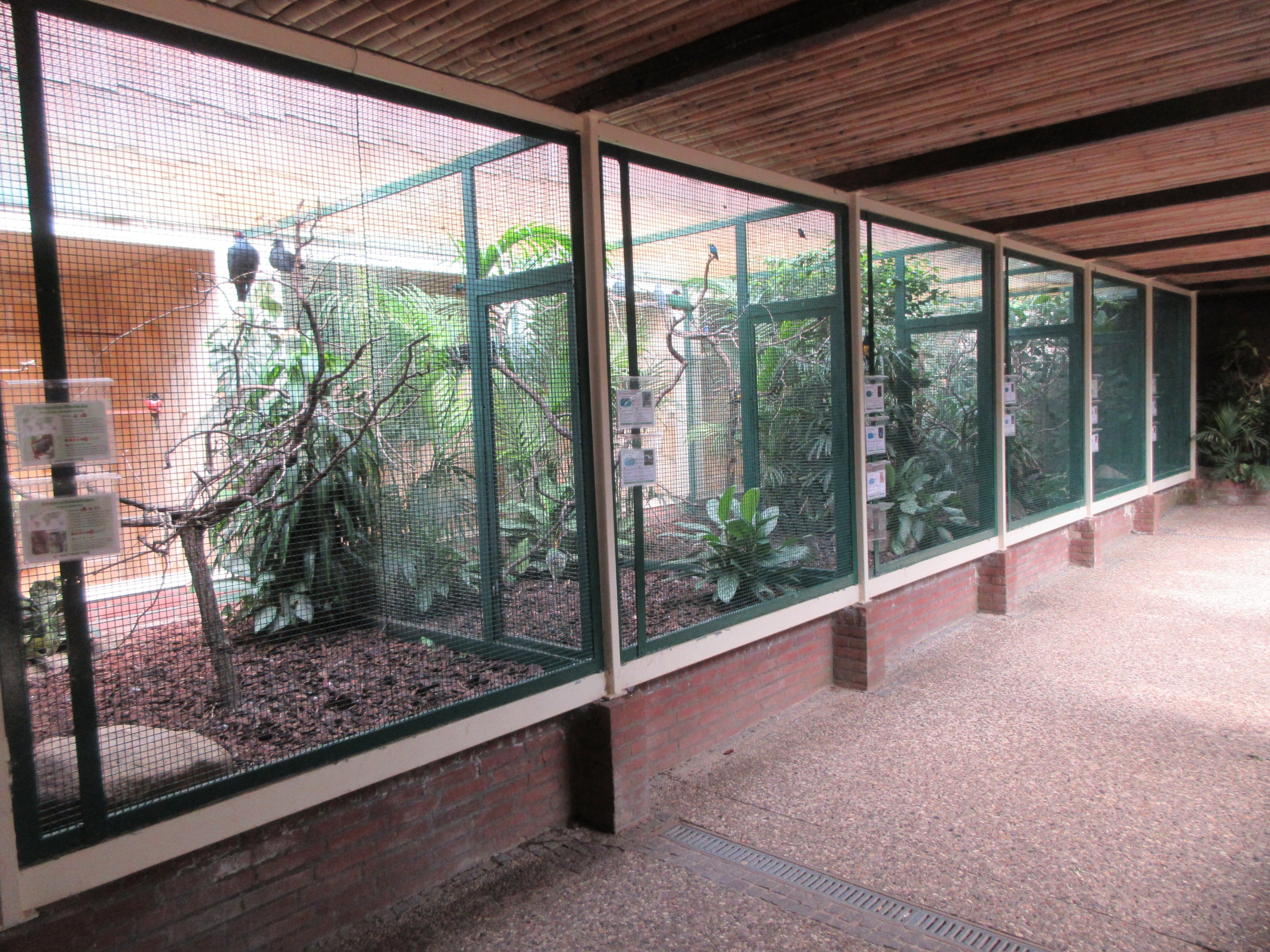 Pukara - row of aviaries