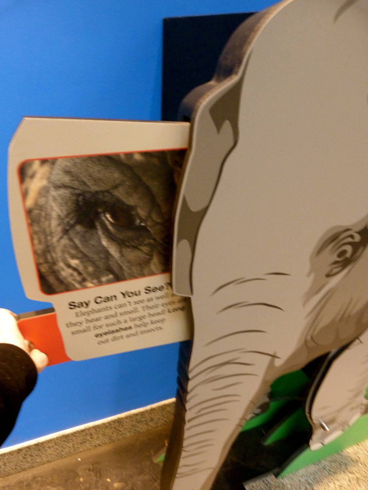 Pulled Out -- Elephant Community Graphic