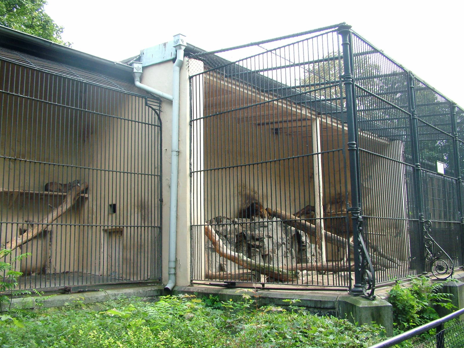 Puma and Lion cages at Wroclaw Zoo Sept 2008