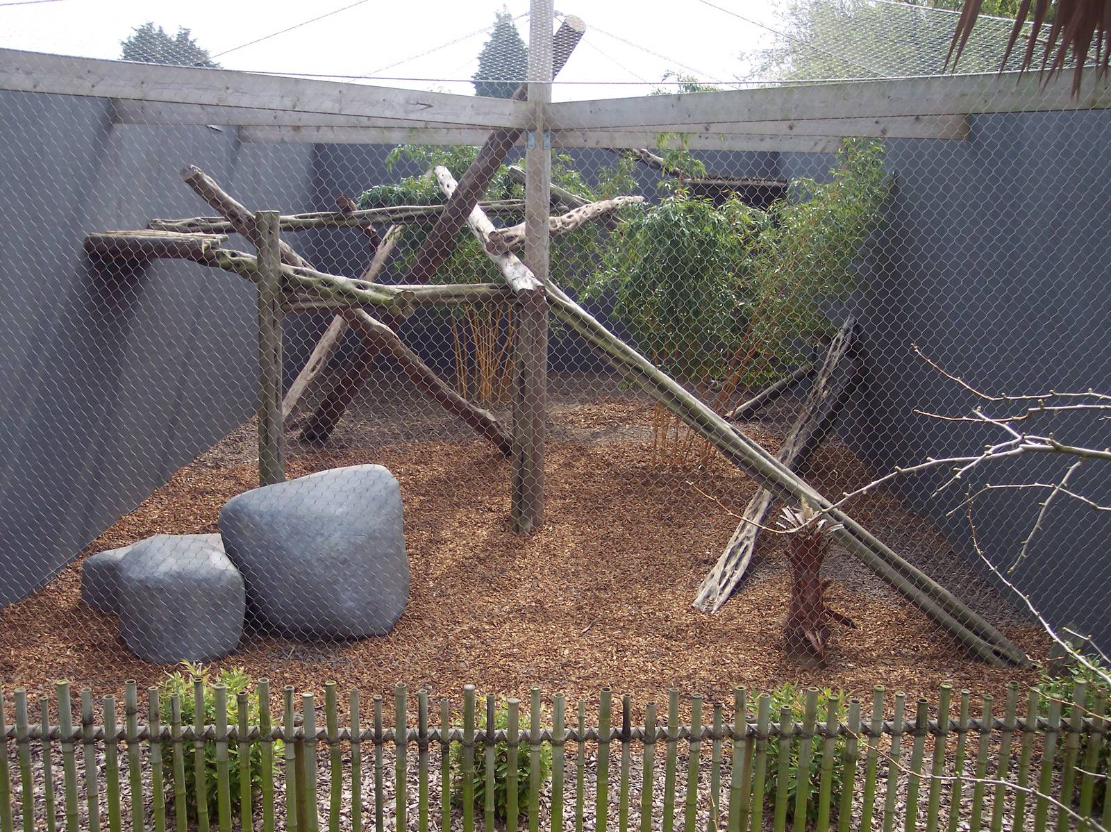 Puma/Clouded Leopard Enclosure