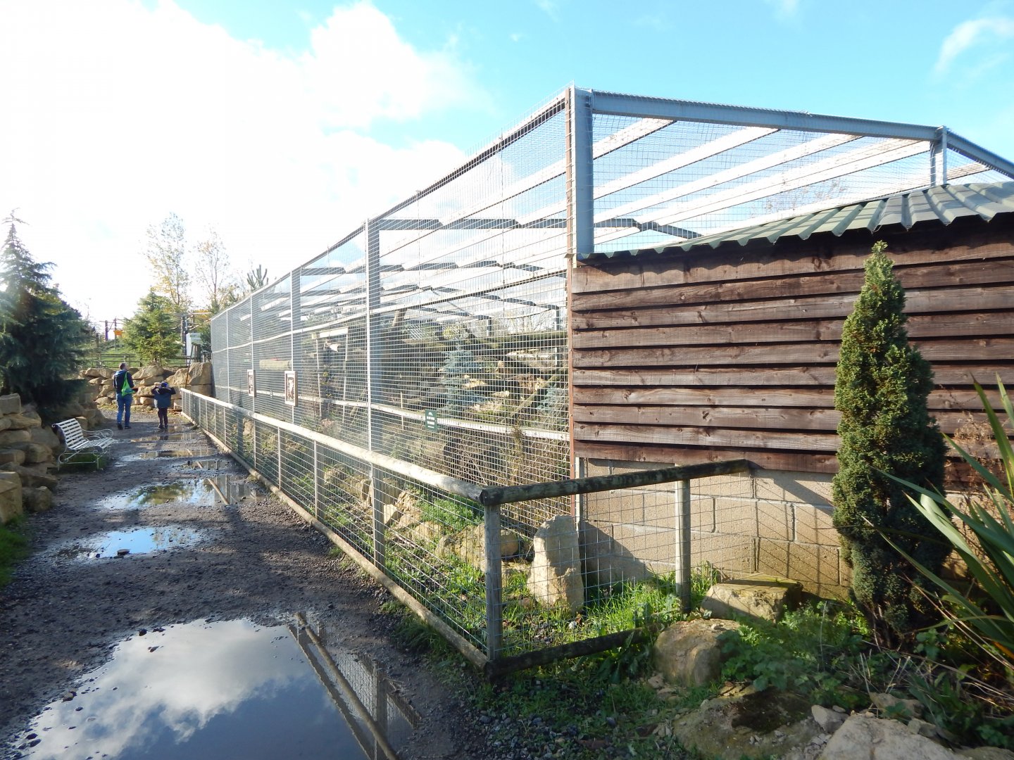 Puma enclosure 021125