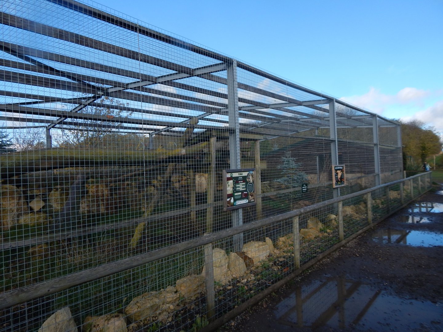 Puma enclosure 021125