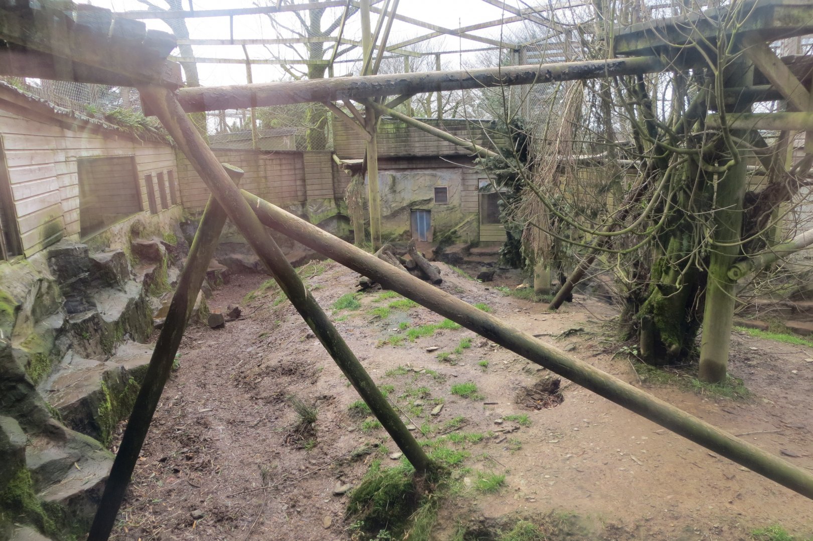 Puma enclosure 040319
