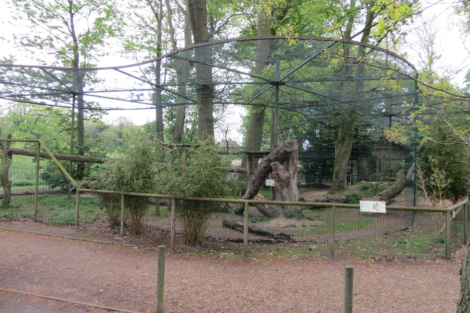 Puma Enclosure 070515