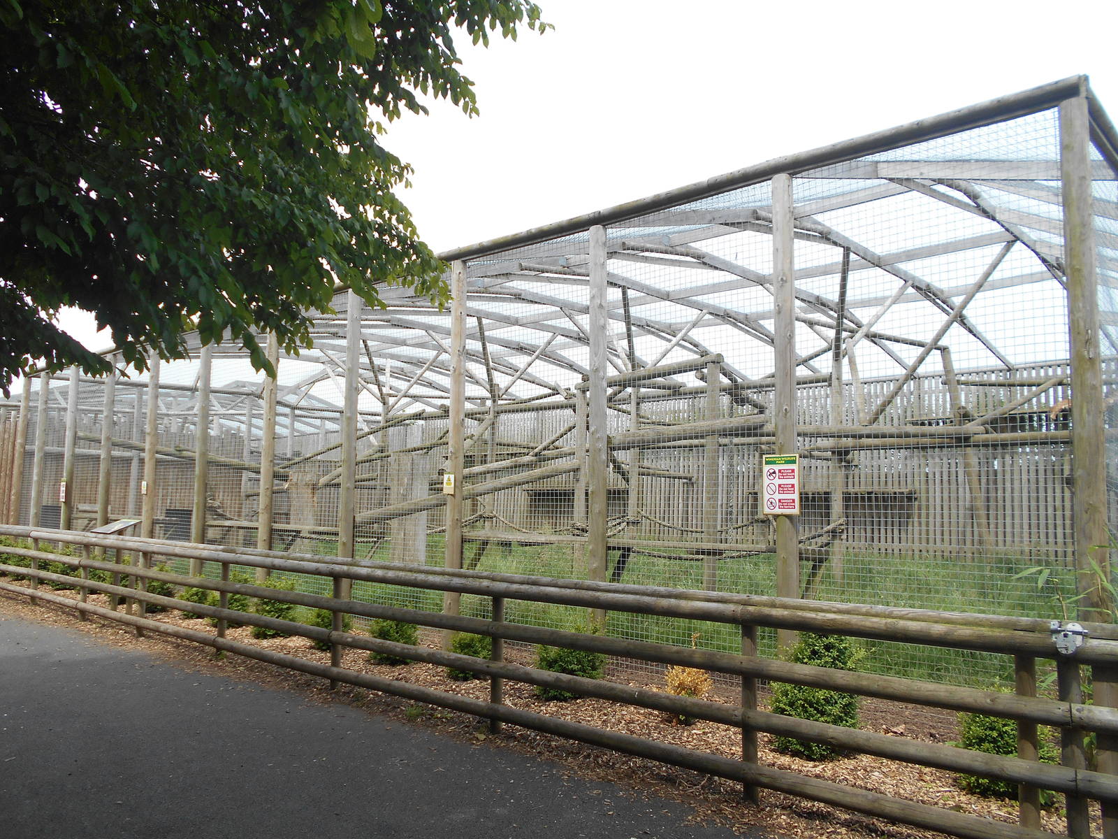 Puma enclosure - 10/06/2016