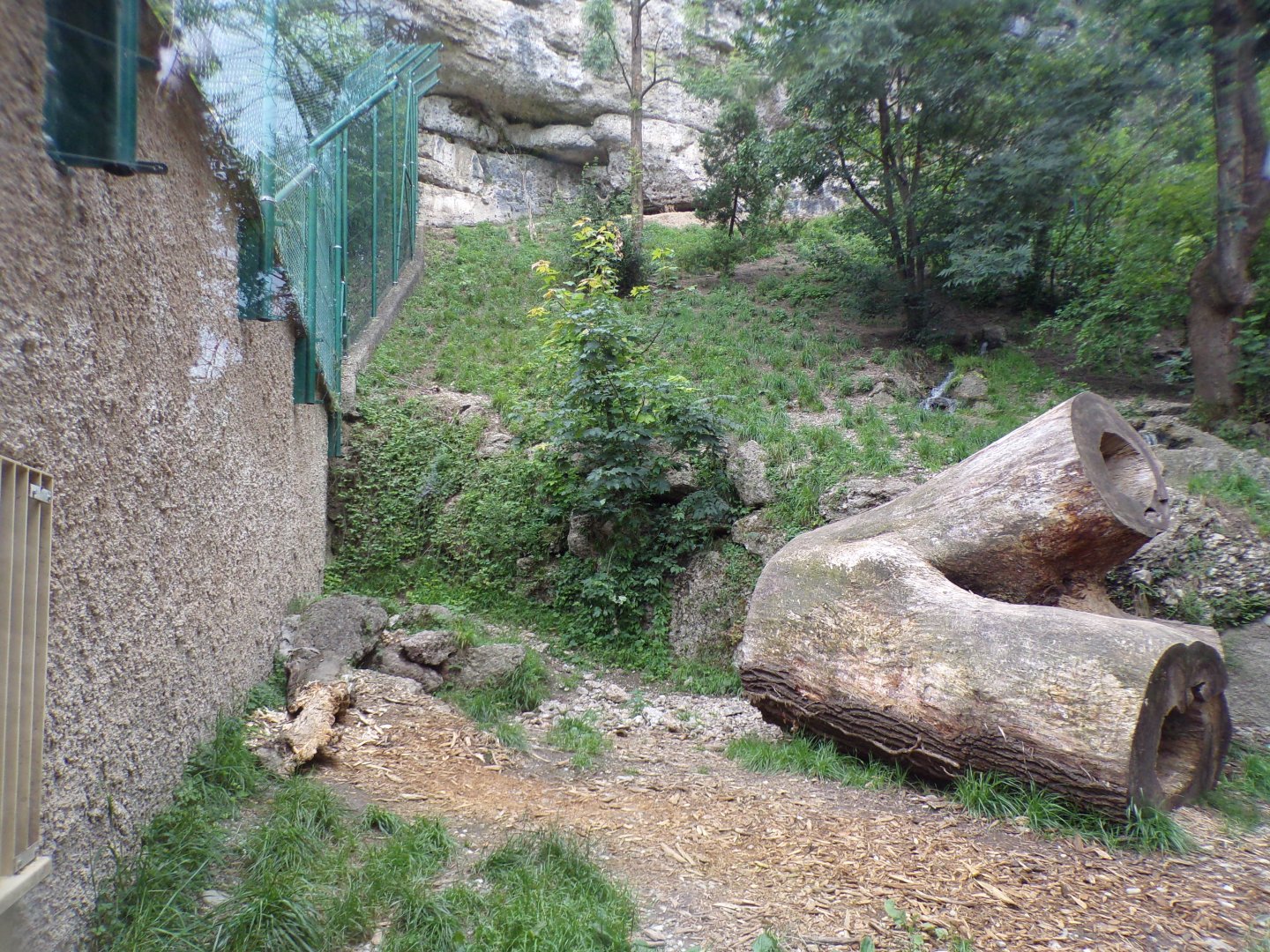 Puma enclosure 13.7.25