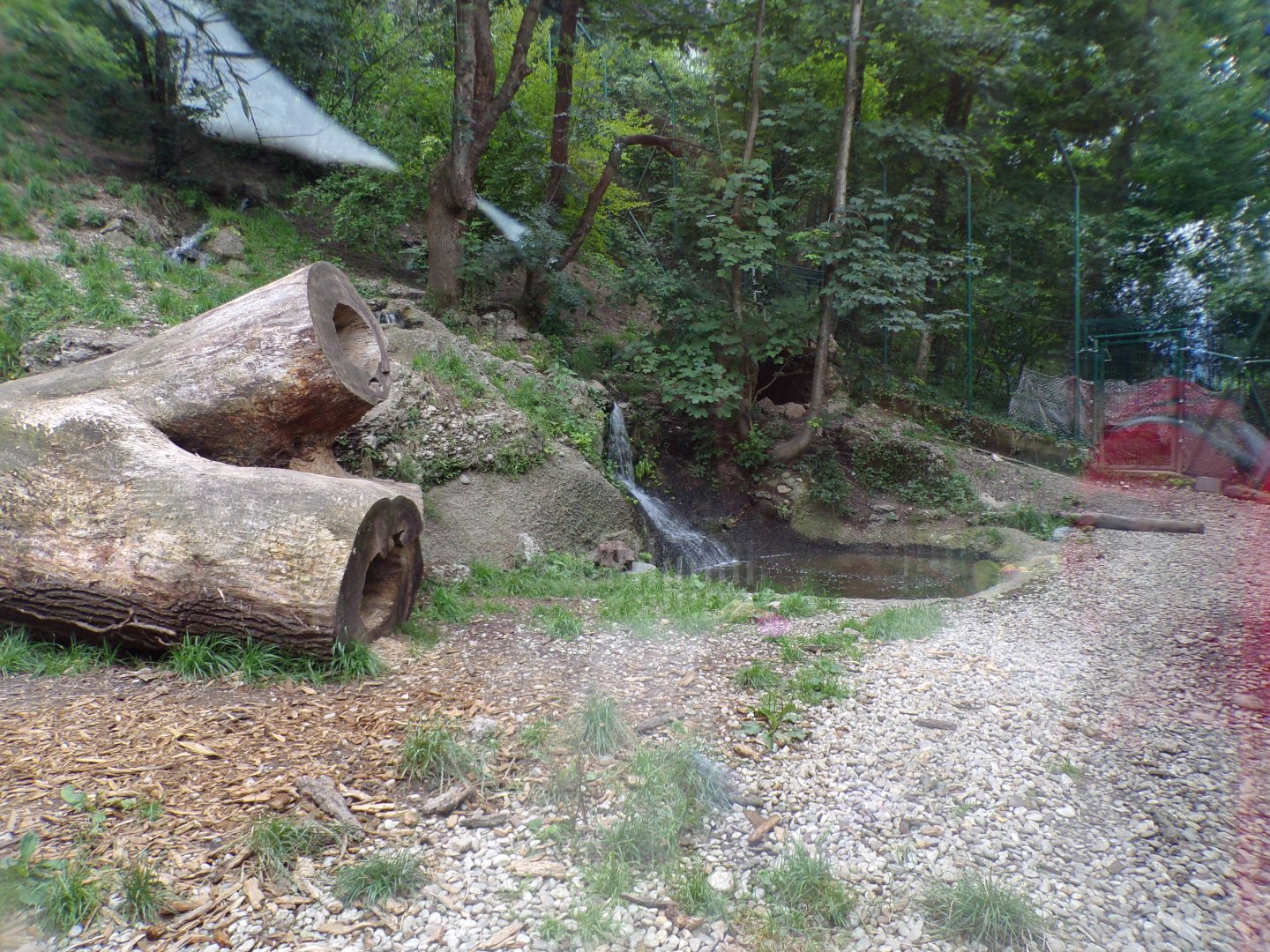 Puma enclosure 13.7.25