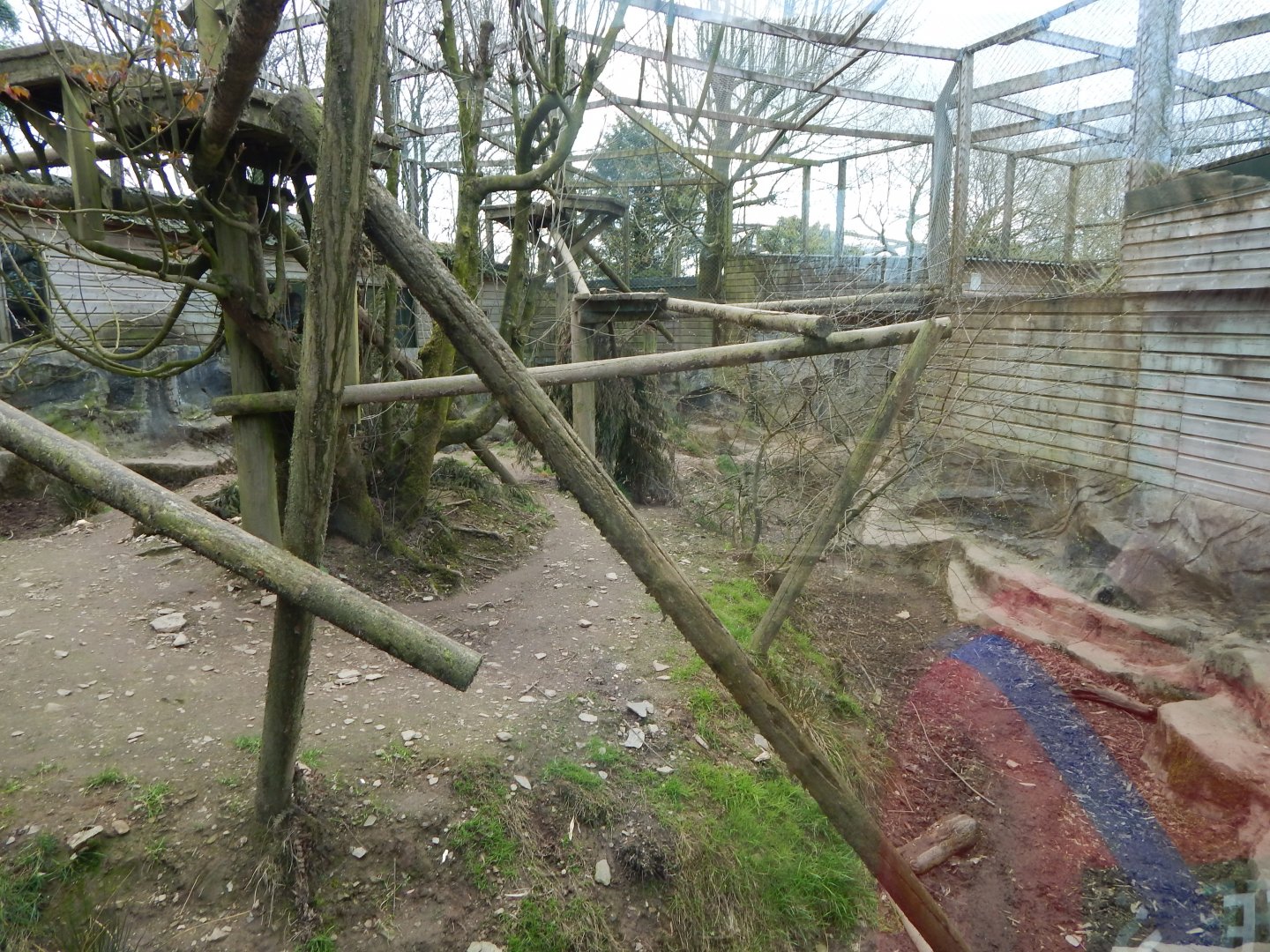 Puma enclosure 140421