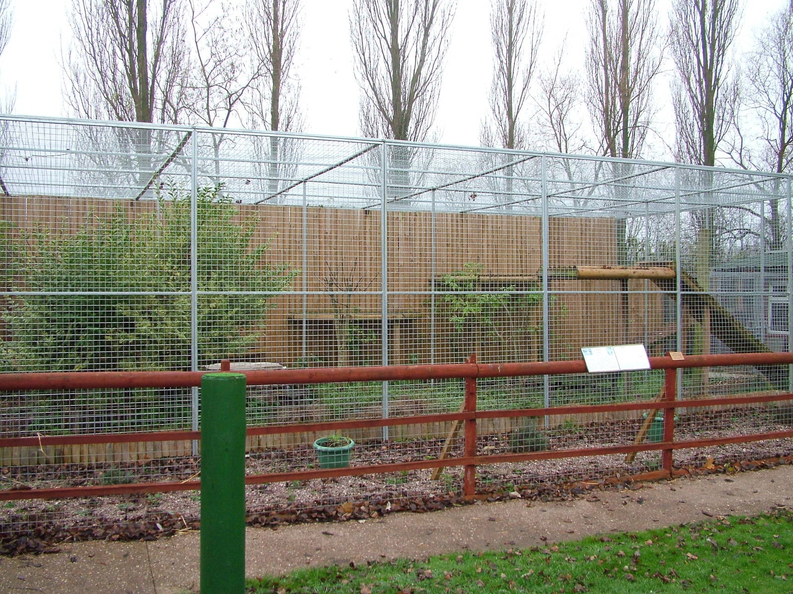 Puma enclosure at Gentleshaw Nov 08
