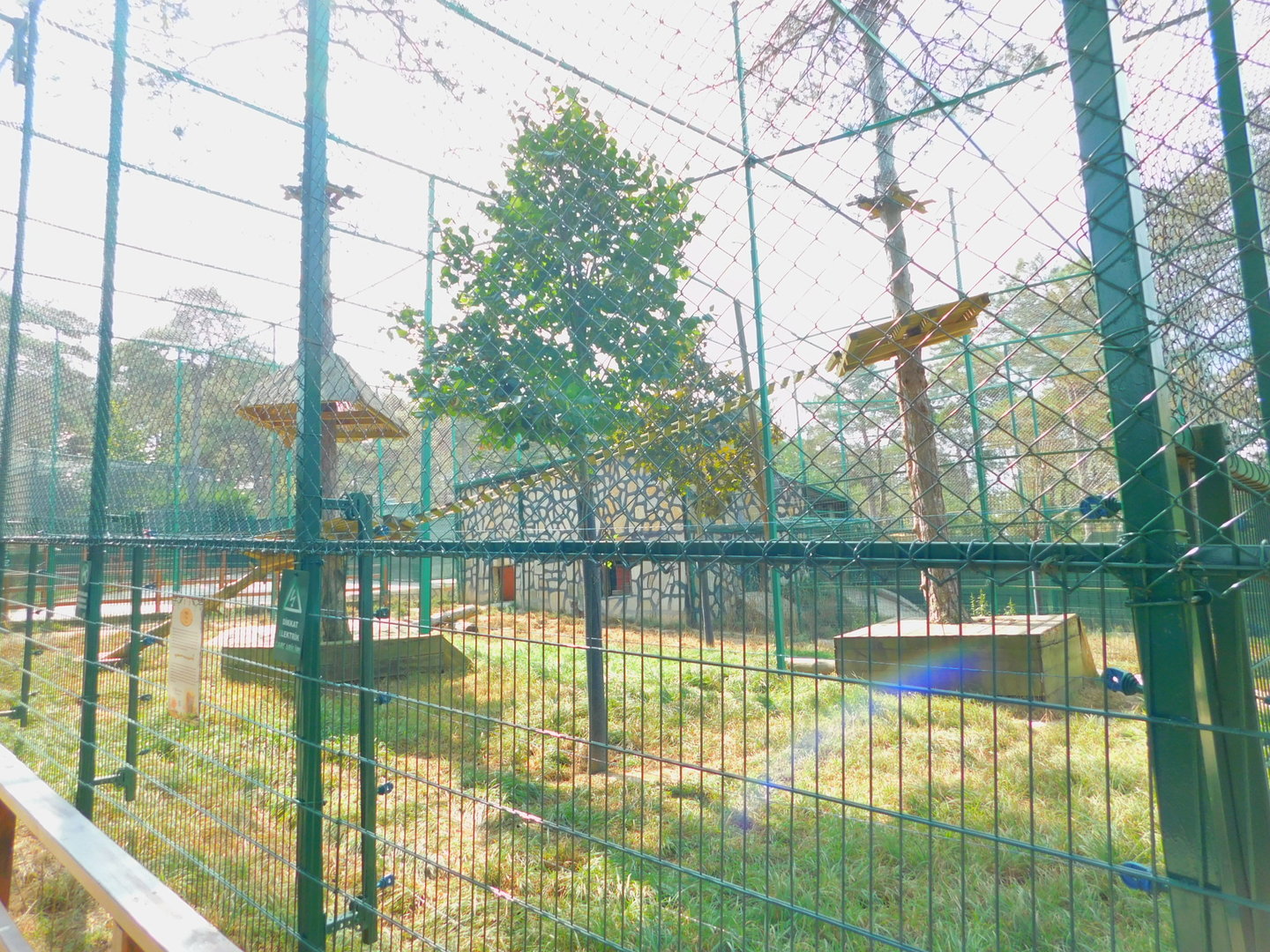 Puma Enclosure at Park of Istanbul