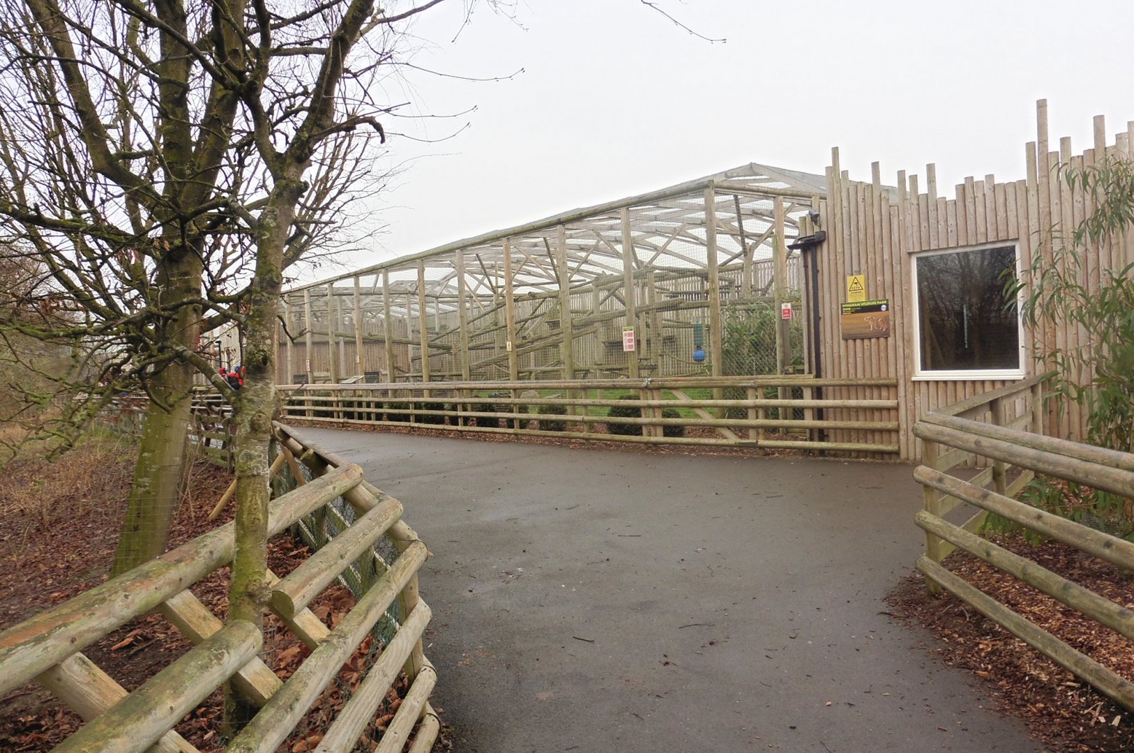 Puma Enclosure & Indoor Cheetah Enclosure