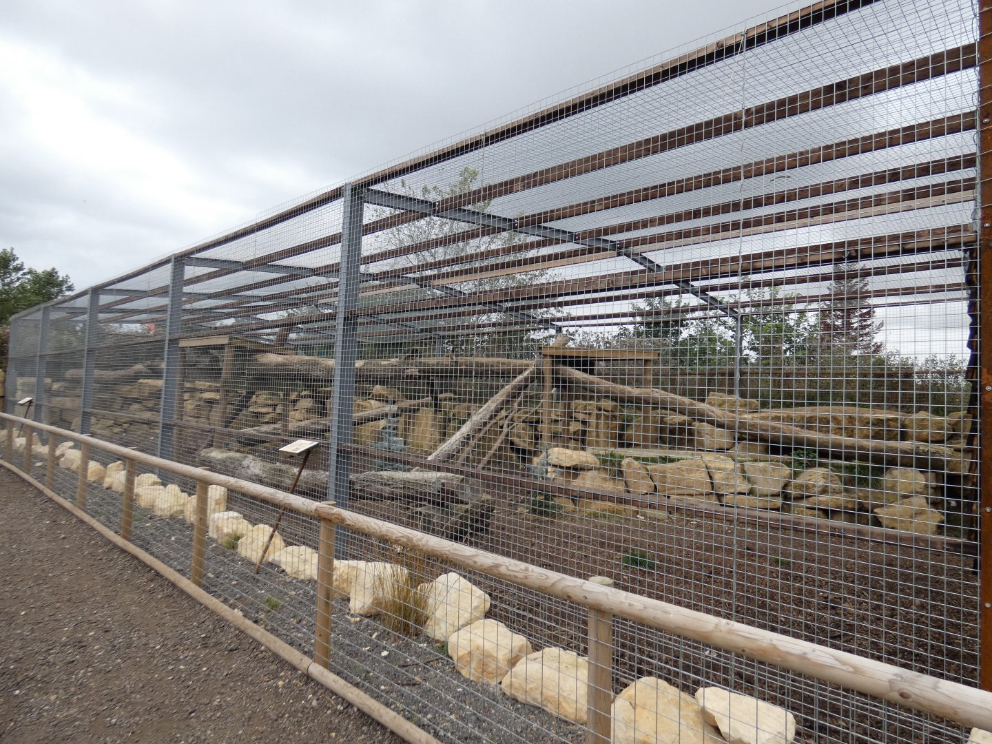 Puma enclosure (Johnson's of Old Hurst)