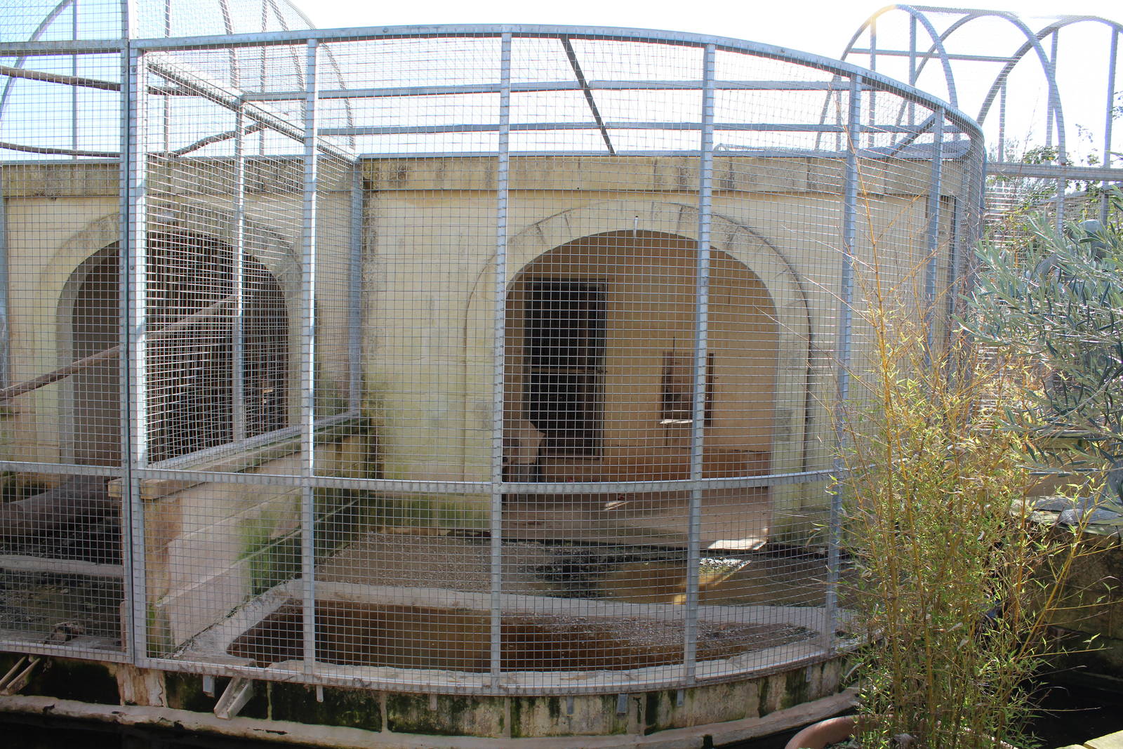 Puma Enclosure - MonteKristo Animal Park, Malta