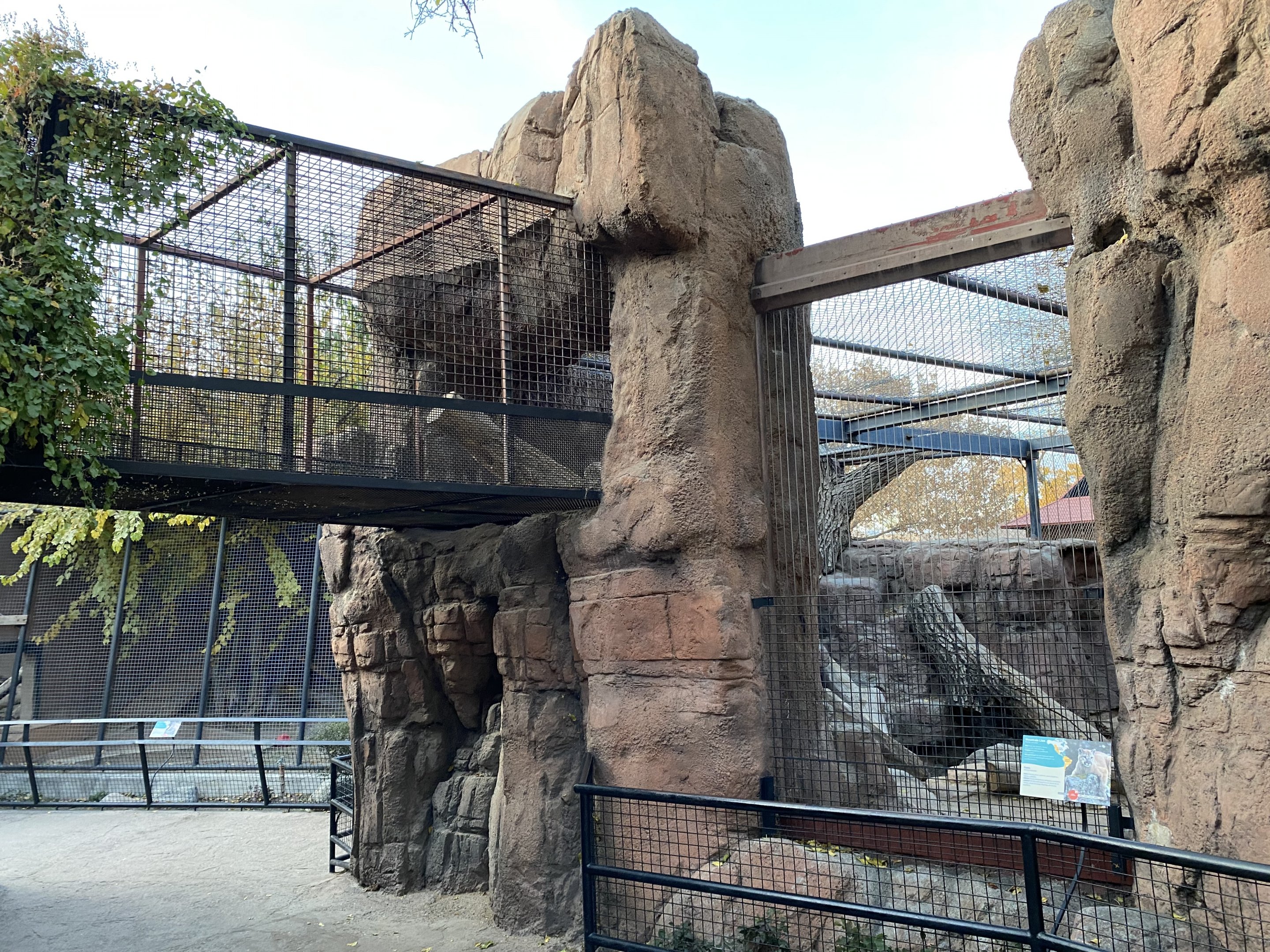 Puma Enclosure & Overhead Path