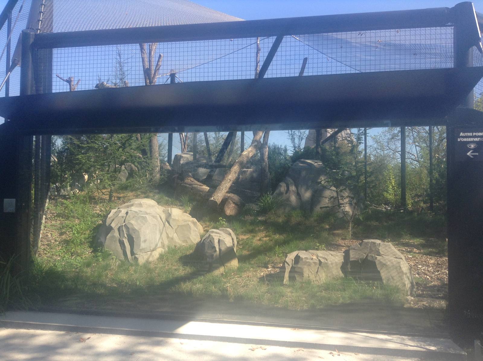 Puma Enclosure - Paris Zoo
