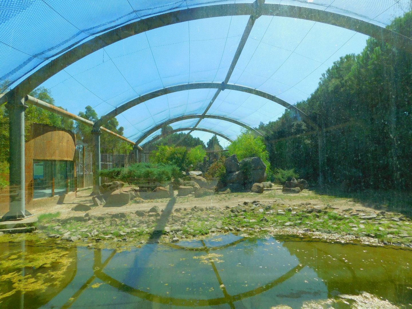 Puma Enclosure