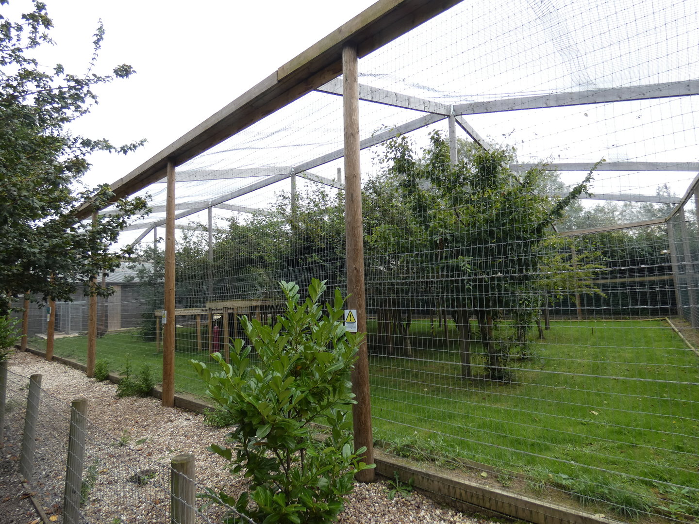 Puma enclosure