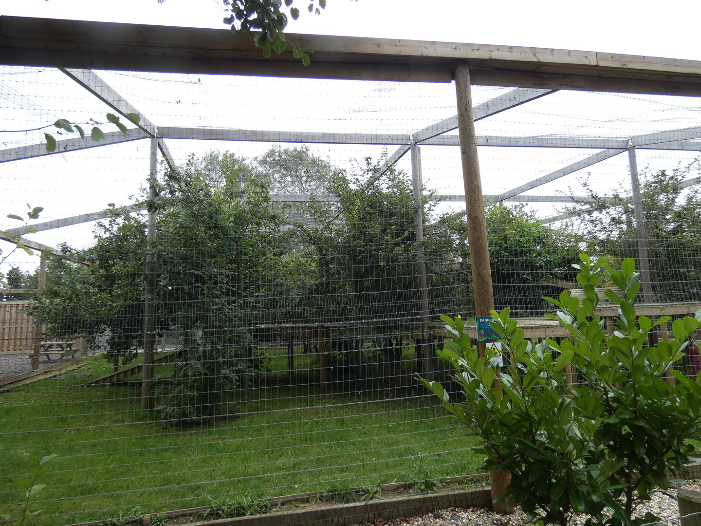 Puma enclosure