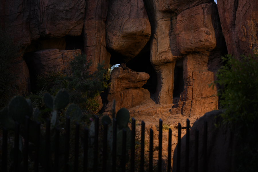 puma exhibit at dusk