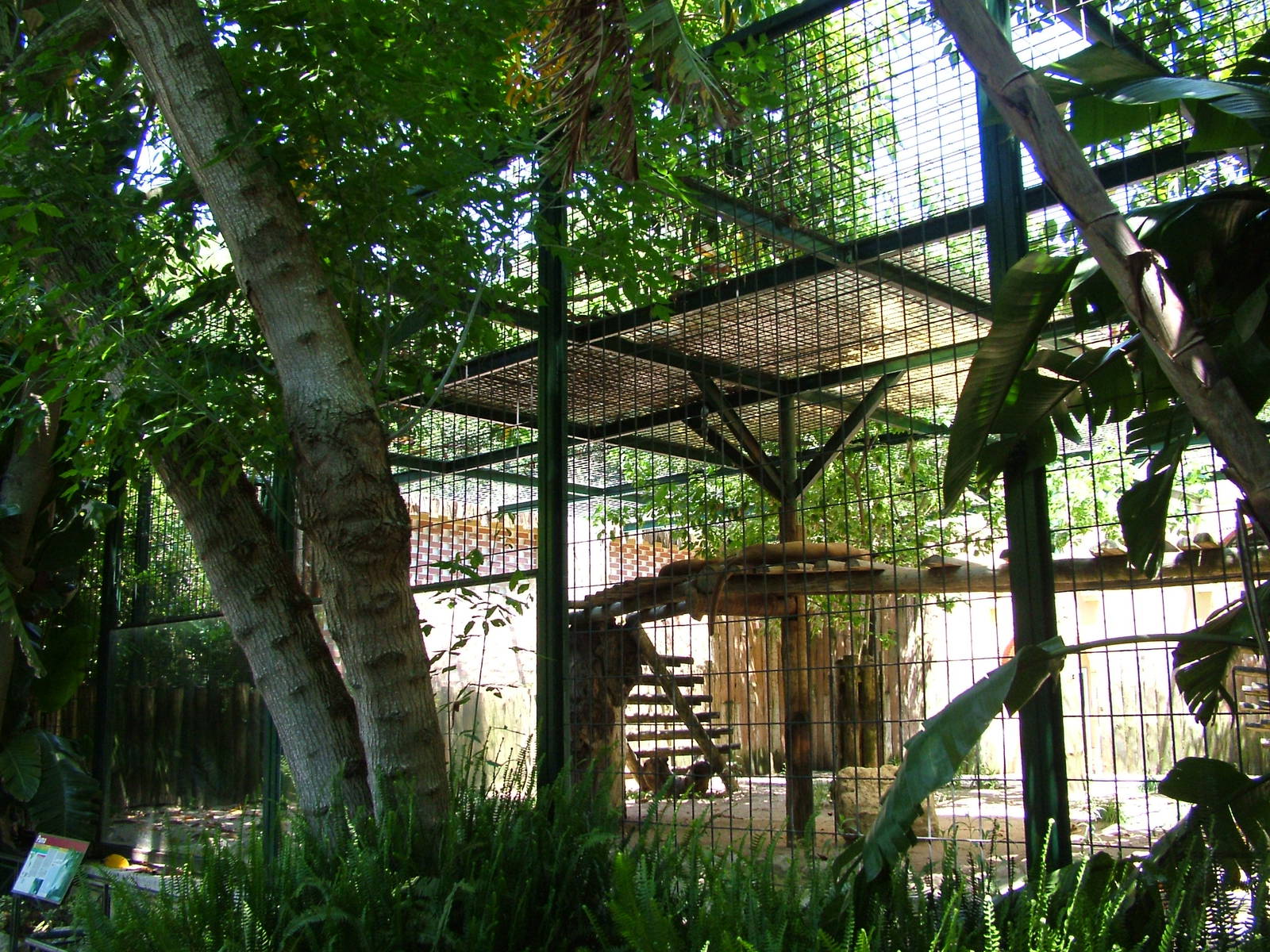 Puma Exhibit at Lisbon Zoo, 24/05/11