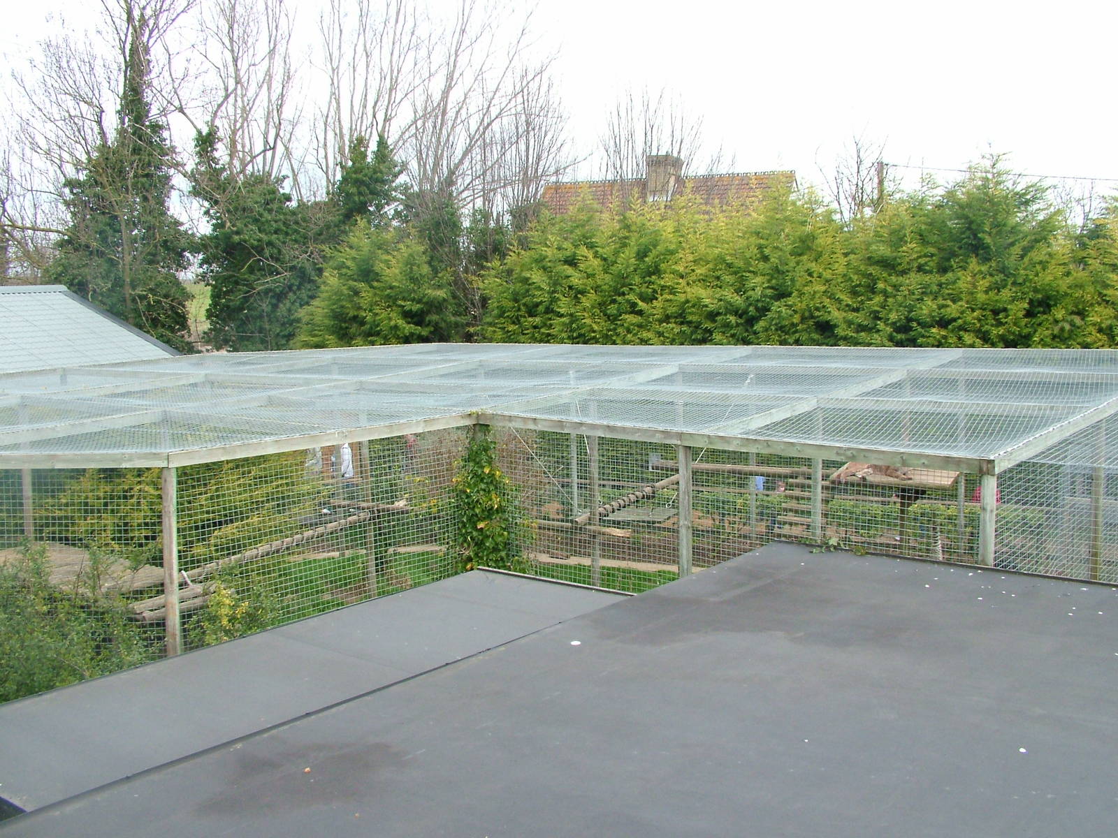 Puma exhibit at Shepreth 05/04/10