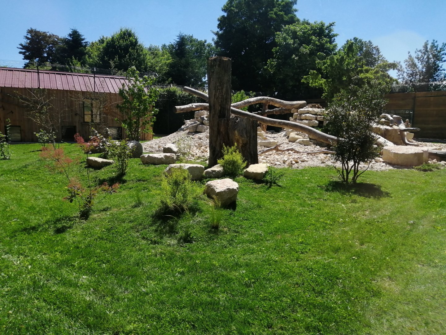 Puma exhibit new 2022